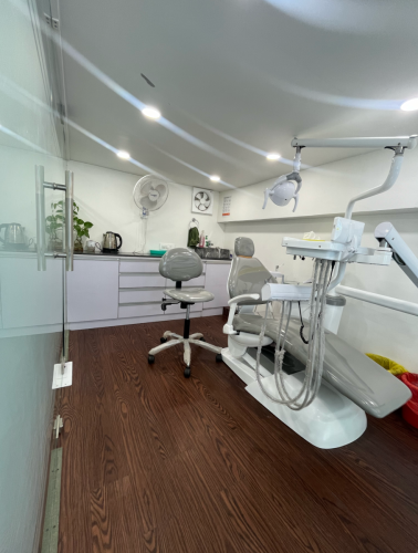 The-Dental-Crown-2
